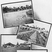 Collage of images from the Salvation Army training farm for youths, Riverview